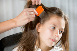 Cuidado de Cabello 24 Los mejores champús y productos contra los piojos