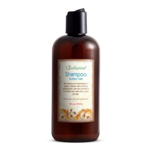 Cuidado de Cabello 22 descubre shampoo sin sulfato suaviza tu cabello