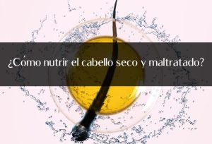Cuidado de Cabello 26 restaura tu cabello identificar y tratar el maltrato para un cabello saludable y fuerte