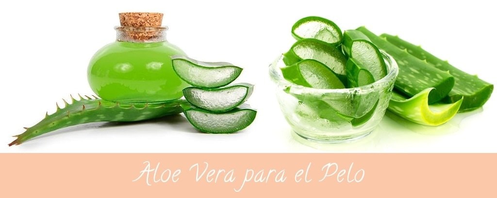 Descubre los beneficios del aloe vera para un cabello saludable y brillante 2 descubre los beneficios del aloe vera para un cabello saludable y brillante