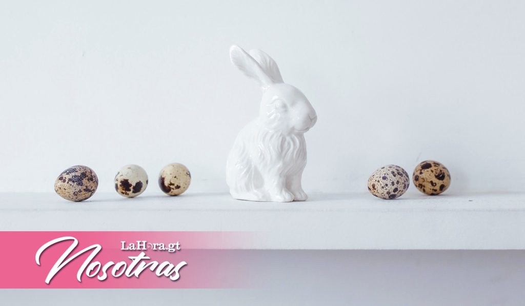 Descubre los productos cruelty-free: conocce los beneficios y marcas que se comprometen con la no crueldad con los animales 2 descubre los productos cruelty free conocce los beneficios y marcas que se comprometen con la no crueldad con los animales