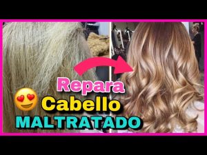 Cuidado de Cabello 24 crea un cabello saludable con estos 6 consejos para rehabilitar el cabello danado