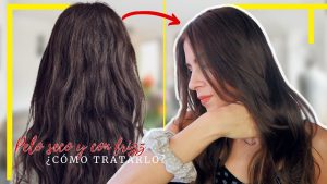 Cuidado de Cabello 22 conoce los mejores consejos para cuidar tu cabello seco y reducir el frizz
